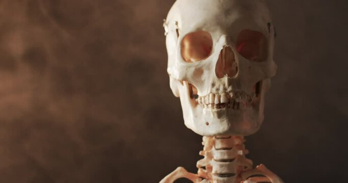 Video of close up of halloween skull and skeleton and copy space on black background