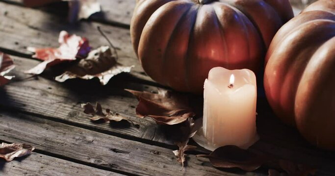 Video of halloween pumpkins and candle with copy space on wooden background