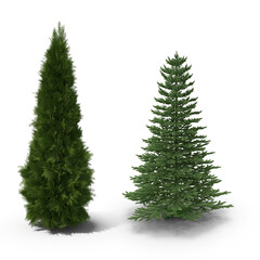 christmas tree on transparent background