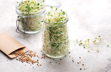 Microgreens grown in a jar.