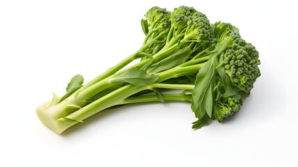 broccoli on a white background