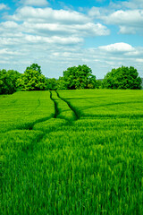 Sommerliche Wandertour durch das Saale Tal zur wunderschönen Leuchtenburg bei Kahla - Thüringen - Deutschland