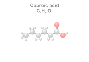 Caproic acid. Simplified scheme of the molecule. Found in animal fats and oils.