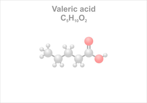 Valeric acid. Simplified scheme of the molecule. Use as food additive.
