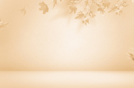 Minimalistic Fall scene in cream color shades. Autumn background with shadow of maple tree leaves on a wall.