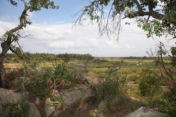 Afrikanischer Busch - Krügerpark - Crocodile River / African Bush - Kruger Park - Crocodile River /