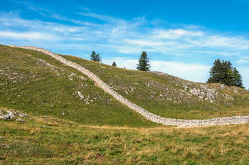 mur en pierre au mont Tendre, Jura