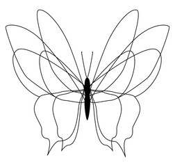 Butterfly. Vector minimal graphic drawing of a butterfly with a contour line.
