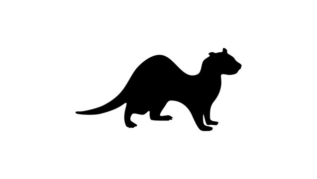 Ferret Silhouette