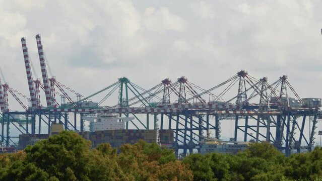 Crane of the port Loading a Ship