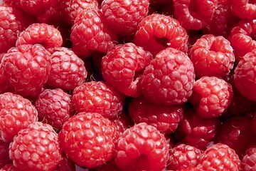 red,delicious raspberries close up