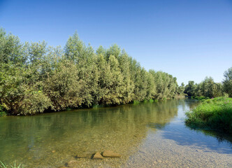 Neuenburg am Rhein. Rheingärten. Direkt am Ufer des Altrheins und Liegewiesen in der Natur erholen
