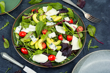 Colorful spring salad of vegetables and cheese