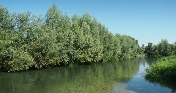Neuenburg am Rhein. Rheing&auml;rten. Direkt am Ufer des Altrheins und Liegewiesen in der Natur erholen