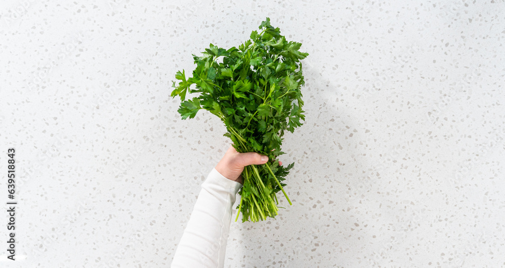 Wall mural Fresh parsley