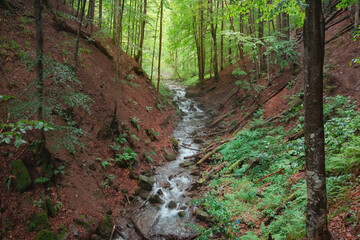 Scenic mountain gorge with water stream