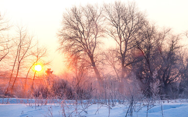 first rays of the sun against the backdrop of a winter landscape