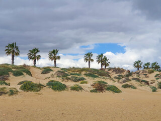 Vega Baja del Segura - en la Torre de la Horadada las dunas de la Playa de las Higuericas