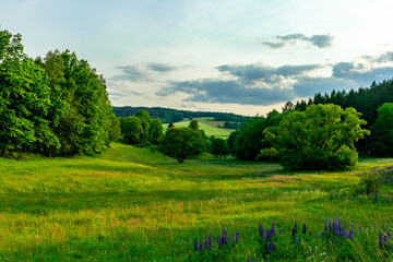 Sommerliche Entdeckungstour durch den Th&uuml;ringer Wald bei Steinbach-Hallenberg - Th&uuml;ringen