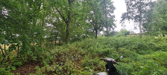 Garten - Gartenparzelle im Hohen Fläming