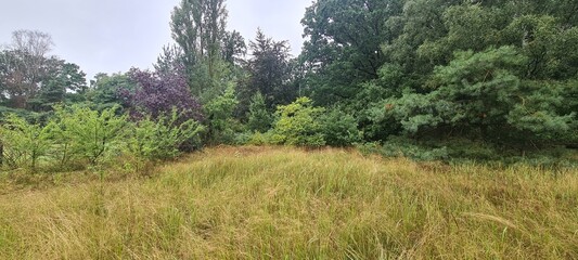 Garten - Gartenparzelle im Hohen Fläming