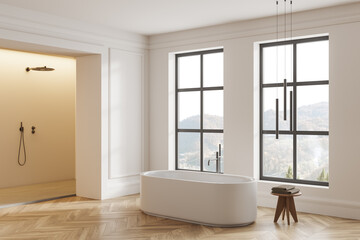 Fototapeta na wymiar Luxury home bathroom interior with tub and douche with panoramic window