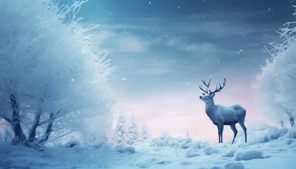 Papier Peint photo Lavable Bleu Jeans Reindeer in snowy frozen landscape. Dreamy scene with deer in snowy forest. Wild nature Christmas concept.