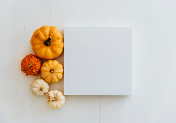 Empty picture frame with autumn pumpkin decor on white wooden floor. Thanksgiving minimal flat lay...