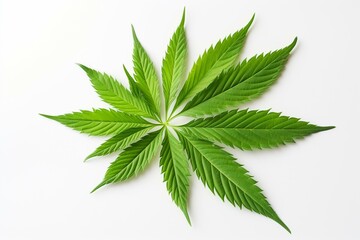 A standalone cannabis leaf with vibrant green color on white background. Generative AI