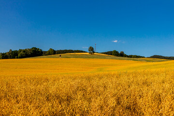 Sommerwanderung auf dem H&ouml;henweg des Th&uuml;ringer Waldes - Th&uuml;ringen - Deutschland