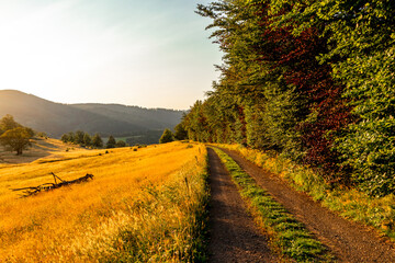 Sommerwanderung auf dem Höhenweg des Thüringer Waldes - Thüringen - Deutschland