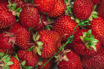 Strawberry background. Ripe fresh fruits, seasonal crop. Healthy superfood, vitamin