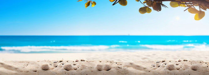 Sunny beach sand and trees by the ocean