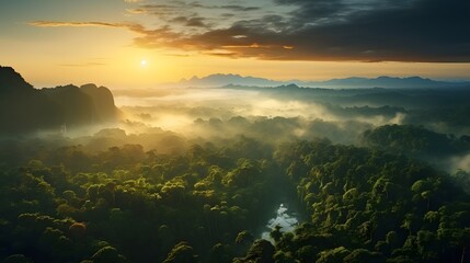 AI Generative. Beautiful green amazon forest landscape at sunset sunrise. Adventure explore air...