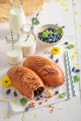 Yummy blueberry yeast cake as summer snack.