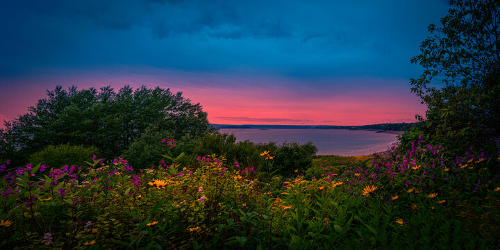 Wildflowers and stormy sunset seascape at Sheldon Point Scenic spot at Irving Nature Park in St John, New Brunswick, Canada