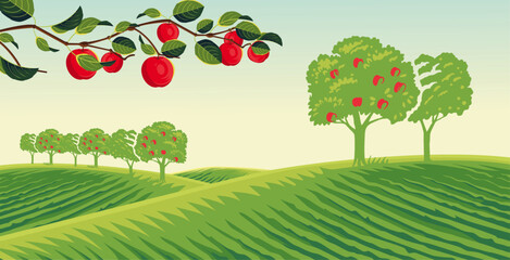 vector background of apple orchard with twigs, fruit and apple leaves in a beautiful landscape in summer