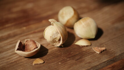 Fresh harvest of hazelnuts from our own garden

