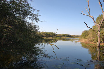 Krüger Park - Afrikanischer Busch - Lake Panic / Kruger Park - African bush - Lake Panic /