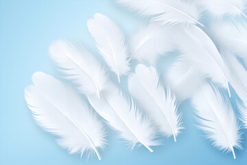 Soft wing white background feathers bird blue