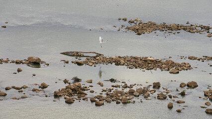  landscape of bank river in Thailand at Chao Praya dum                             