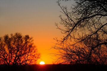Sonnenaufgang - Krüger Park - Südafrika / Sunrise - Kruger Park - South Africa /