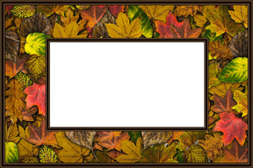 Naklejka na ściany i meble Frame with autumn leaves. Yellow autumn background with fallen leaves close-up and white copy space.