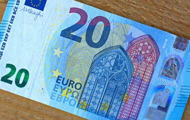 The euro is the currency of the European Union	
