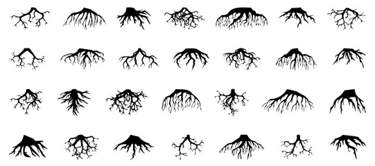 Tree roots silhouette collection. Set of black tree roots silhouettes. Tree root logo collection - obrazy, fototapety, plakaty