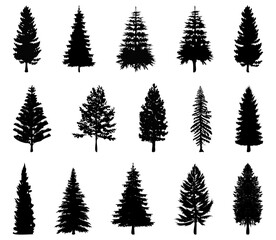 Conifer trees silhouette collection. Set of bundle of trees silhouette. Spruce tree silhouette. Christmas and New Year trees silhouette collection