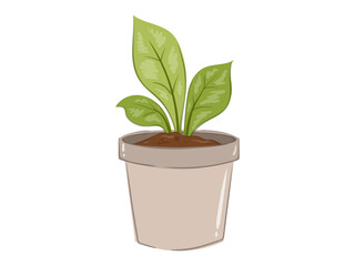 plant in a pot illustration vector