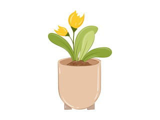 illustration of a flower in a pot