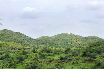 Fototapeta na wymiar Beautiful Landscape of Mountain. Green Forest or Jungle with Mountain Heel and Cloud Sky. Post monsoon lush green landscape of Sasan Gir, Girnar hills and the farms in Saurashtra region of Gujarat.