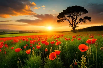 Poster field of poppies © usman